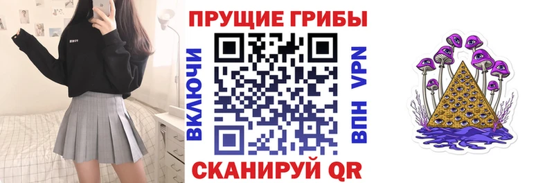 наркошоп  Коммунар  Галлюциногенные грибы Psilocybine cubensis 